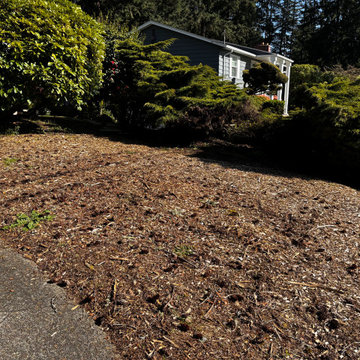Fircrest Front Yard