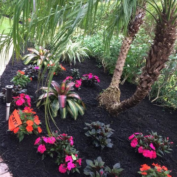 Our Work