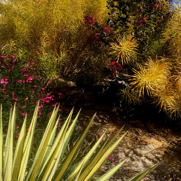 Low Maintenance Landscape