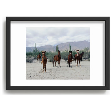 Kevin Russ Baha De Los Ngeles Wild Horses Recessed Framing Rectangle
