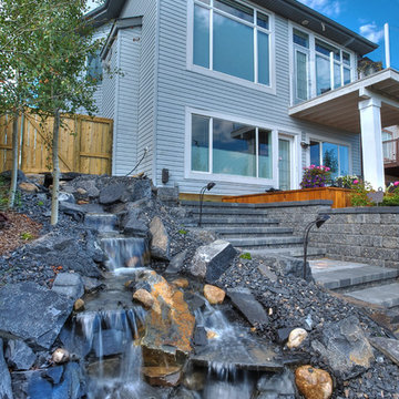 Small Yard Big Dreams