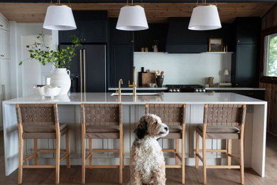 Inspiration for a kitchen remodel in Toronto