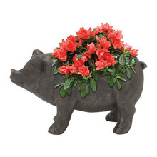 Wish List