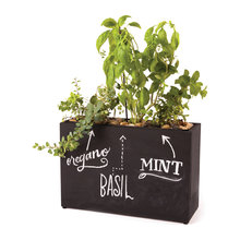 planting