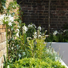 Garden Ideas