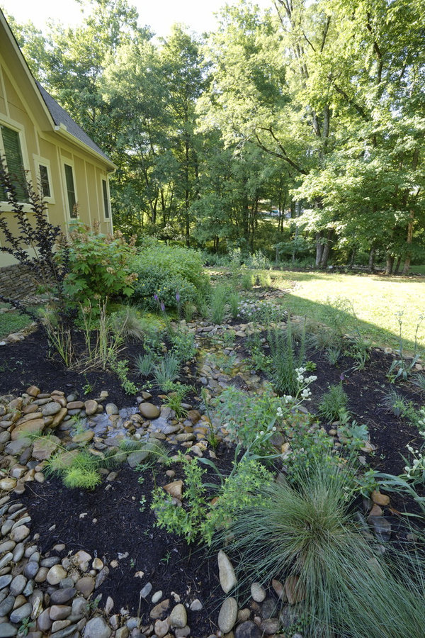 French Broad Rain Garden