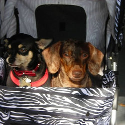 Pet care pics - Products