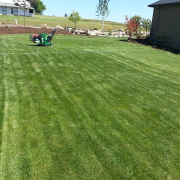 HOUZZ SUCCESS-STORY! PLANT BARE-ROOT TREES & SHRUBS IN BEST LANDSCAPE MAKEOVERS