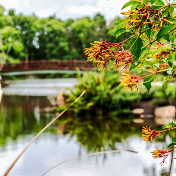 Landscape photography Portfolio