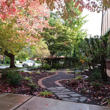 English Tudor in the Fall