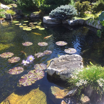 Custom Pond Project in Knoxville Tennessee