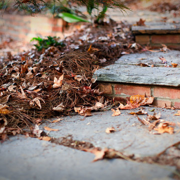 winding stone path
