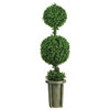 Double Ball Leucodendron Topiary Arrangement With Decorative Vase Indoor/Outdoor