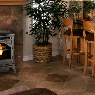 Mt Vernon E2 Pellet Stove