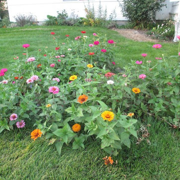 Beth's Gardens 2018