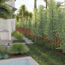 Florida Landscape