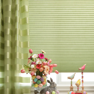 Window Treatment Motorization