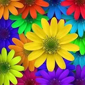 Joelle Mesle's photo