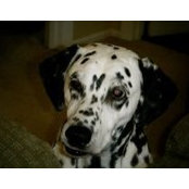 Becky Listers foto