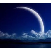 Jesse Weinberger's photo
