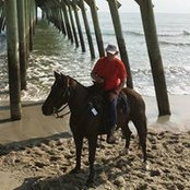 Debb Scott's photo