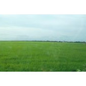 Wpp Woon's photo
