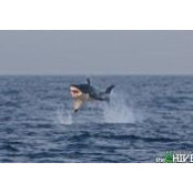 Ryan Coombs's photo