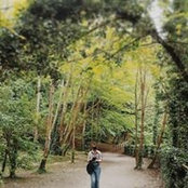 Sarah Gibson's photo