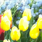 Cynthia Leppert's photo