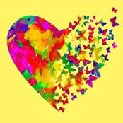 Cindy Young's photo