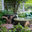 Triton Waterscapes LLC
