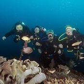 Steve Nelson's photo