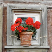 Janet Benzing's photo