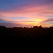 Shelly Shovlin's photo