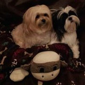 Mindy Fritsch James's photo