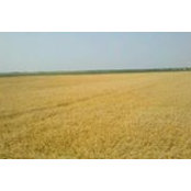 Bryan Schaffer's photo