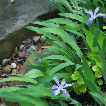 Woodland Gardens