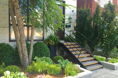 Inspiration for a shade front yard landscaping in Chicago.