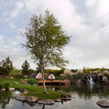 Water Bodies & Features