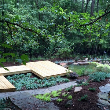 Artificial swamp/pollinator-friendly garden