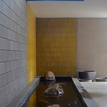 My Houzz: A Modern Approach to Efficient Living in Dallas