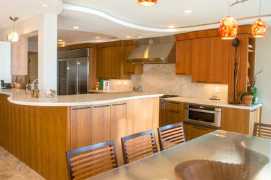 Kitchen - contemporary kitchen idea in San Diego