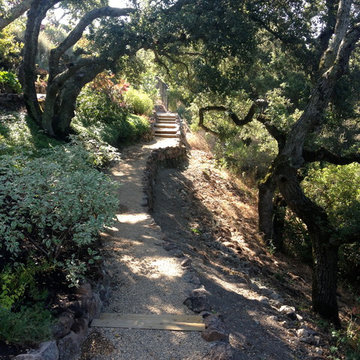 Orinda Hillside