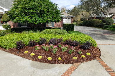 This is an example of a landscaping in Tampa.