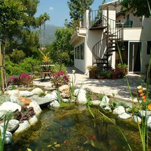 pond