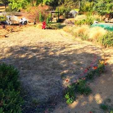 Lawn Conversion, Shingle Springs, CA