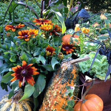 Container gardens