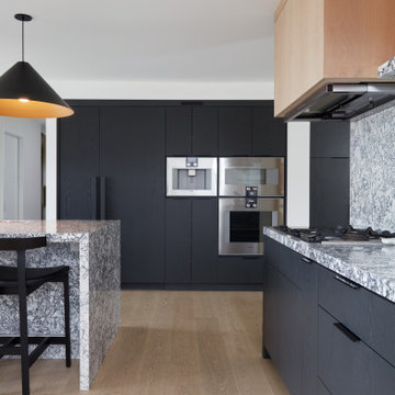 Black Kitchen with Panelled Fridge & Wall Ovens
