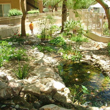 Regents at Scottsdale Ecosystem Disappearing Streams in Scottsdale, AZ