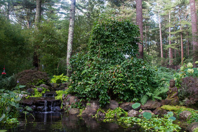 Photo of a traditional shade backyard pond in New York.